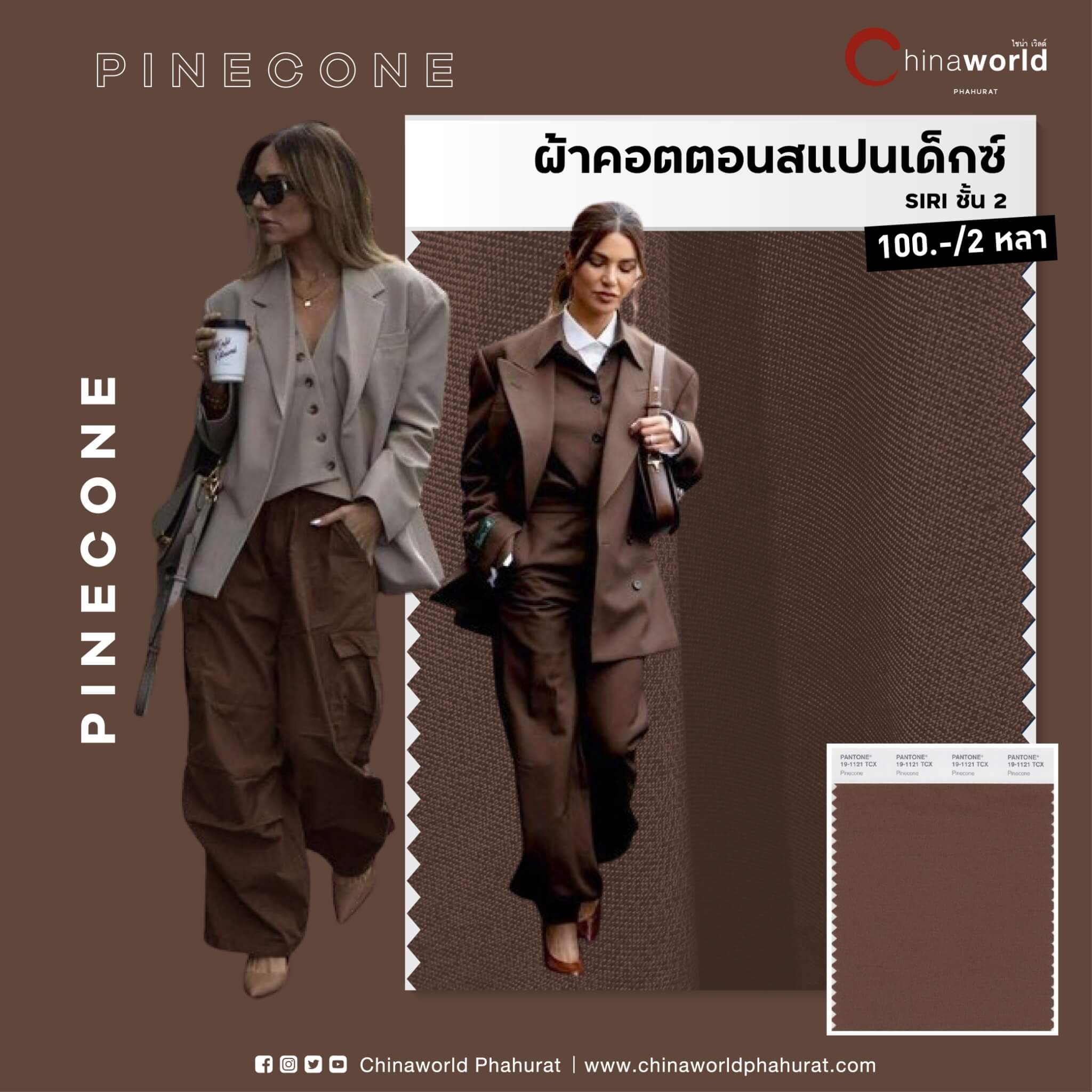 ชี้เป้าร้านขายผ้าโทนสีฮอตแห่งปี 2024 - Pinecone